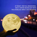 8cm Touch Control 3D Print Moon Lamp, USB Charging 7-color Changing LED Energy-saving Night Light with Wooden Holder Base