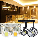 10 PCS 10W High Power LED Integrated Light Lamp(White Light)