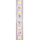 Casing Waterproof LED Light Strip, Length: 1m, IP65 SMD 5730 LED Light Strip with Power Plug, 120 LED/m, AC 220V(White Light)