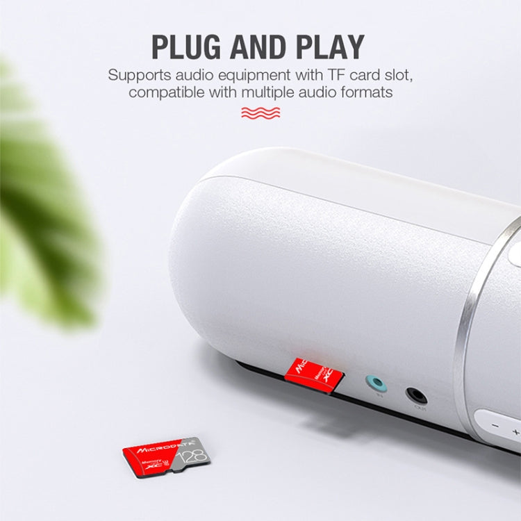 MICRODATA 32GB Class10 Red and Grey TF(Micro SD) Memory Card