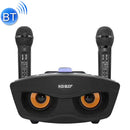 SD-306 2 in 1 Family KTV Portable Wireless Live Dual Microphone + Bluetooth Speaker(Black)