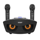 SD-306 2 in 1 Family KTV Portable Wireless Live Dual Microphone + Bluetooth Speaker(Black)