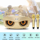 SD-306 2 in 1 Family KTV Portable Wireless Live Dual Microphone + Bluetooth Speaker(Pink)