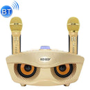 SD-306 2 in 1 Family KTV Portable Wireless Live Dual Microphone + Bluetooth Speaker(Gold)