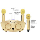 SD-306 2 in 1 Family KTV Portable Wireless Live Dual Microphone + Bluetooth Speaker(Gold)