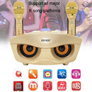 SD-306 2 in 1 Family KTV Portable Wireless Live Dual Microphone + Bluetooth Speaker(Gold)