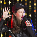 Xiaomi Youpin C1 Wired Karaoke Microphone(Gold)
