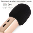 Xiaomi Youpin C1 Wired Karaoke Microphone(Red)