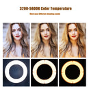MANTOO RL-18 II 100-240V 55W 18 inch Two-color Dimmable Ring Fill Light with Tripod