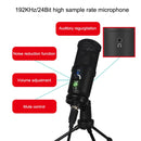 BM-66 Standard Version Heart-shaped Pointing USB Condenser Microphone Set