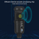 BM-66 Standard Version Heart-shaped Pointing USB Condenser Microphone Set