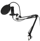 BM-66 Heart-shaped Pointing USB Condenser Microphone Cantilever Bracket Set