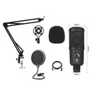 BM-66 Heart-shaped Pointing USB Condenser Microphone Cantilever Bracket Set