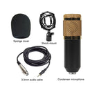 BM-800 Back Pole Large-diaphragm Condenser Microphone Set (Gold)