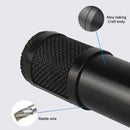 BM-800 Back Pole Large-diaphragm Condenser Microphone Set (Silver)