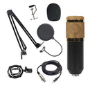 BM-800 Back Pole Large-diaphragm Condenser Microphone Cantilever Bracket Set (Gold)