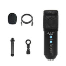 BM-858 Large-diaphragm Condenser Microphone Set (Black)