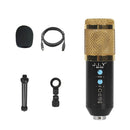 BM-858 Large-diaphragm Condenser Microphone Set (Gold)