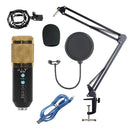 BM-858 Large-diaphragm Condenser Microphone Cantilever Bracket Set (Gold)