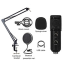 BM-838 Large-diaphragm USB Condenser Microphone Cantilever Bracket Set (Black)