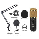 BM-838 Large-diaphragm USB Condenser Microphone Cantilever Bracket Set (Gold)