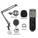 BM-838 Large-diaphragm USB Condenser Microphone Cantilever Bracket Set (Silver)