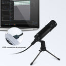 BM-828 Back-pole Diaphragm USB Condenser Microphone Set (Silver)