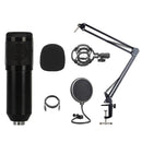 BM-828 Back-pole Diaphragm USB Condenser Microphone Cantilever Bracket Set (Black)