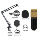 BM-828 Back-pole Diaphragm USB Condenser Microphone Cantilever Bracket Set (Gold)
