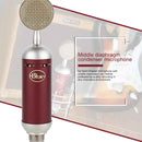 Logitech Blue Spark SL Network K Song Anchor Equipment Condenser Recording Microphone