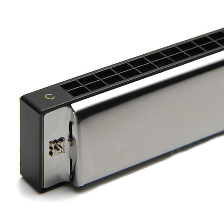 Swan 24-holes Polyphonic Harmonica Beginner Children Adult Students Playing Musical Instruments