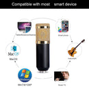 BM-800 3.5mm Studio Recording Wired Condenser Sound Microphone with Shock Mount, Compatible with PC / Mac for Live Broadcast Show, KTV, etc.(Black)