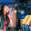 BM-800 3.5mm Studio Recording Wired Condenser Sound Microphone with Shock Mount, Compatible with PC / Mac for Live Broadcast Show, KTV, etc.(Black)