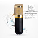 BM-800 3.5mm Studio Recording Wired Condenser Sound Microphone with Shock Mount, Compatible with PC / Mac for Live Broadcast Show, KTV, etc.(Black)