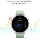 Original Xiaomi Youpin Amazfit GTR 2e Smart Watch(Dolphin Grey)