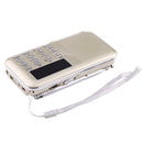Y-896 Portable Stereo LCD Digital FM AM Radio Speaker, Rechargeable Li-ion Battery, Support Micro TF Card / USB / MP3 Player