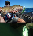 HENGJIA 6 PCS 8.5cm 8.9g Minnow Plastic Hard Baits Fishing Lures Set Fishing Tackle Baits