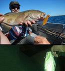 HENGJIA HENG JIA-SETL30 30 PCS Minnow Fishing Lure Set 6 Models Fishing Tackle Plastic Hard Bait