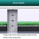 Indoor Golf Practice Mat EVA Materials Golf Exercise Mat with TEE Regular Edition, Size: 50*80cm