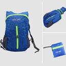 PICTET FINO RH28 Polyester Waterproof Backpack Foldable Travel Backpack, Capacity: 17L (Blue)