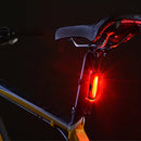 AQY-096 IPX4 Detachable USB Rechargeable Dual Color LED Bike Taillight (Blue & Red)