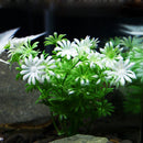 Artificial Tree Plant Grass Figurines Miniatures Aquarium Fish Tank Landscape, Small Size: 9.0 x 13.0cm