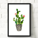 1 x Cactus Balls Printing Oil Painting Home Decration Hot