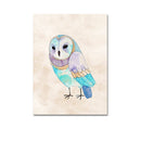 1 Pcs Colored Owl Printing Oil Painting Frameless Fashion