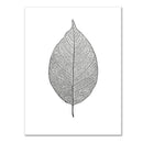 1 pc Black Leaf printing oil painting frameless Fashion