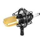 FIFINE F-700 Professional Condenser Sound Recording Microphone with Shock Mount for Studio Radio Broadcasting & Live Boardcast, 3.5mm Earphone Port, Cable Length: 2.5m(Black)