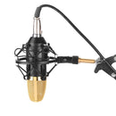 FIFINE F-700 Professional Condenser Sound Recording Microphone with Shock Mount for Studio Radio Broadcasting & Live Boardcast, 3.5mm Earphone Port, Cable Length: 2.5m(Black)