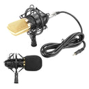 FIFINE F-700 Professional Condenser Sound Recording Microphone with Shock Mount for Studio Radio Broadcasting & Live Boardcast, 3.5mm Earphone Port, Cable Length: 2.5m(Black)