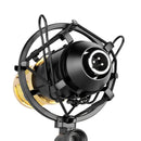 FIFINE F-700 Professional Condenser Sound Recording Microphone with Shock Mount for Studio Radio Broadcasting & Live Boardcast, 3.5mm Earphone Port, Cable Length: 2.5m(Black)