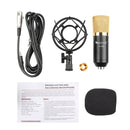 FIFINE F-700 Professional Condenser Sound Recording Microphone with Shock Mount for Studio Radio Broadcasting & Live Boardcast, 3.5mm Earphone Port, Cable Length: 2.5m(Black)